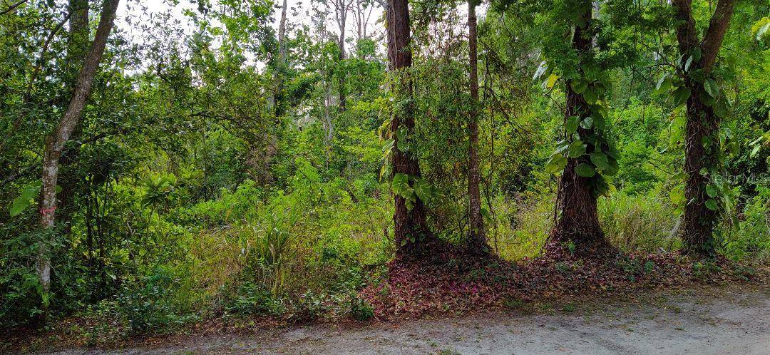 MARJORIE BLVD, Longwood, FL 32750