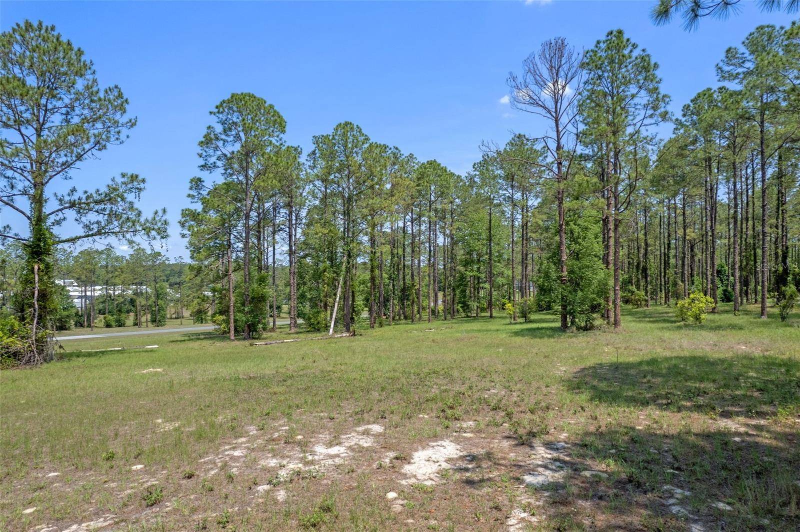 35408 PINEGATE TRL, Eustis, FL 32736