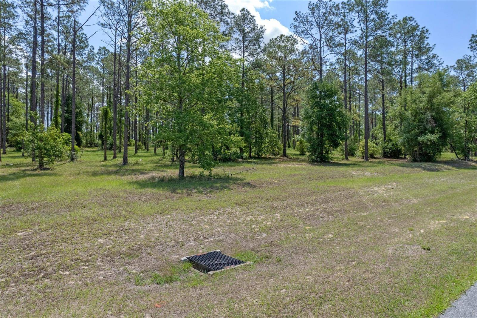35408 PINEGATE TRL, Eustis, FL 32736