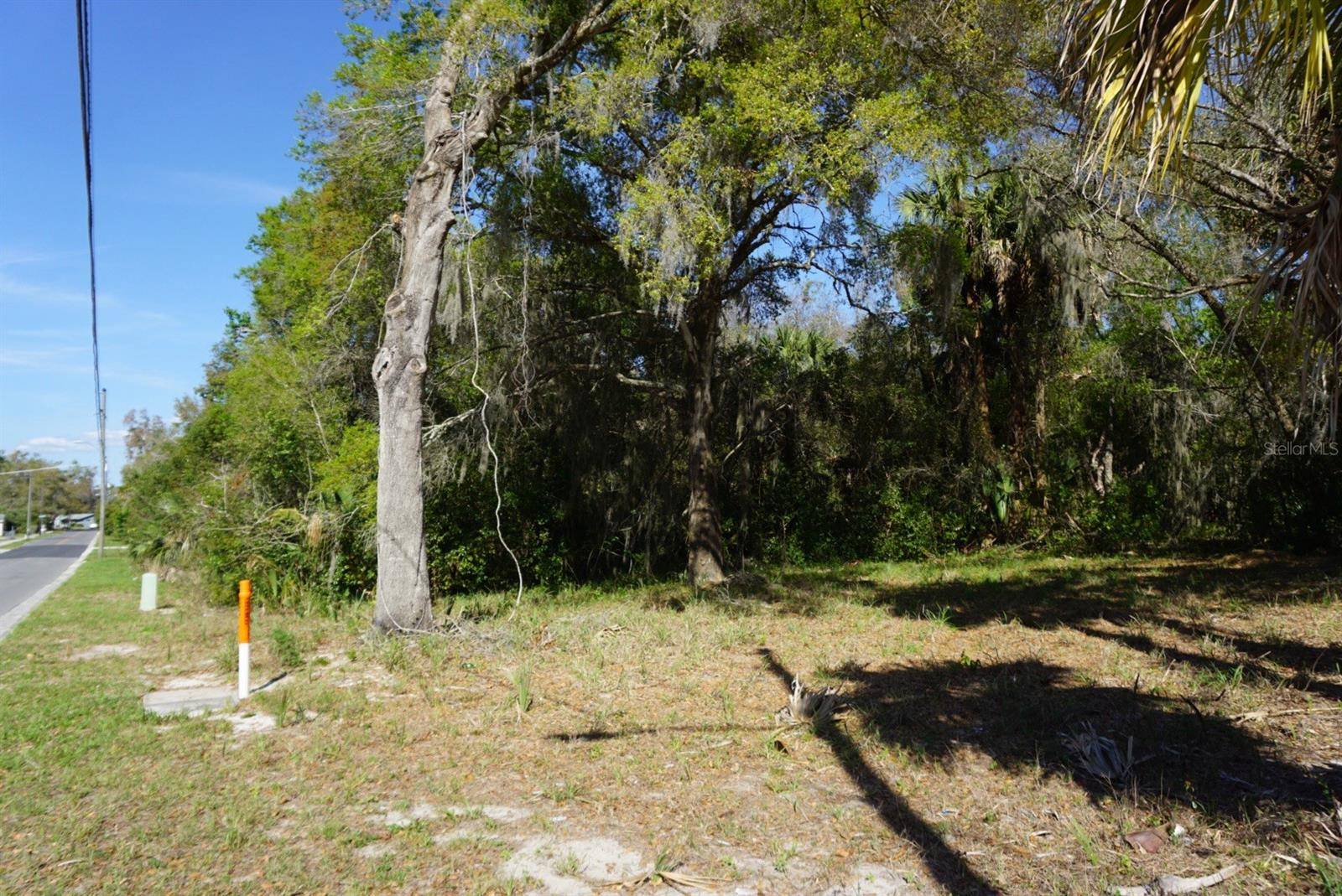 PALMETTO ST, Eustis, FL 32726