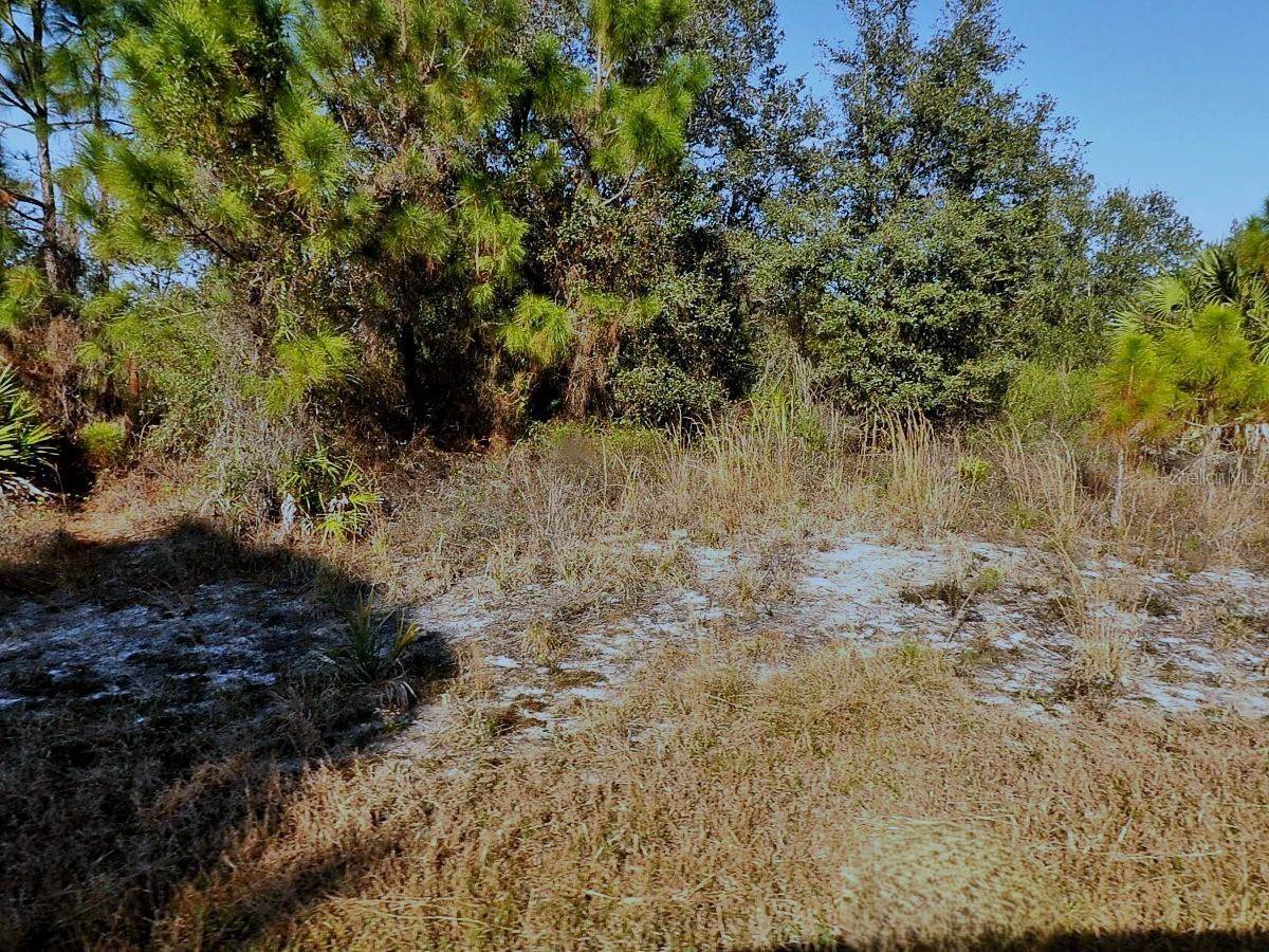 WINTERVILLE CIR, North Port, FL 34288
