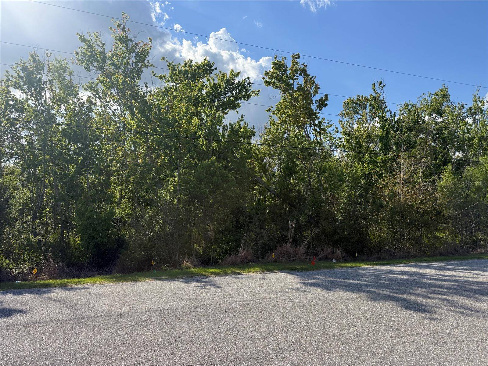 GADSON ST, Groveland, FL 34736