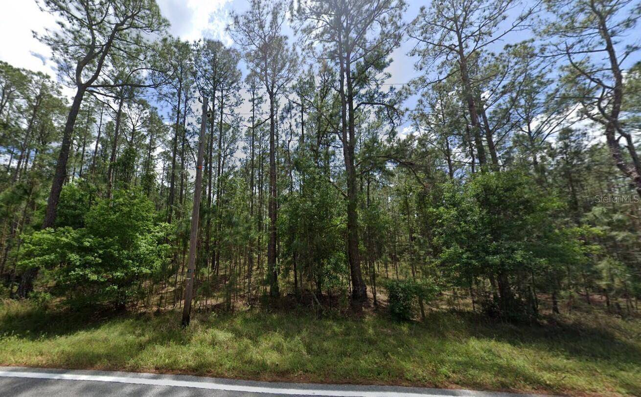 POYNER OAKS RD N, Polk City, FL 33868