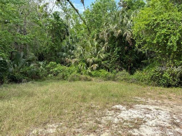 1747 TURTLE HILL RD, Deltona, FL 32725