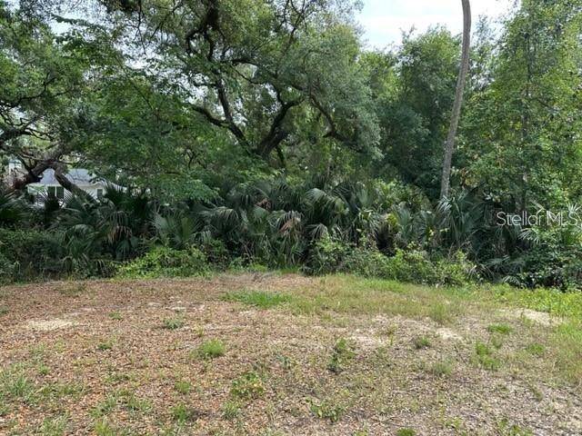 1747 TURTLE HILL RD, Deltona, FL 32725