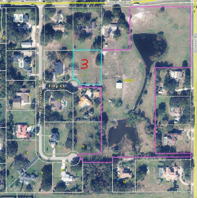 13125 FILLY CT, Windermere, FL 34786