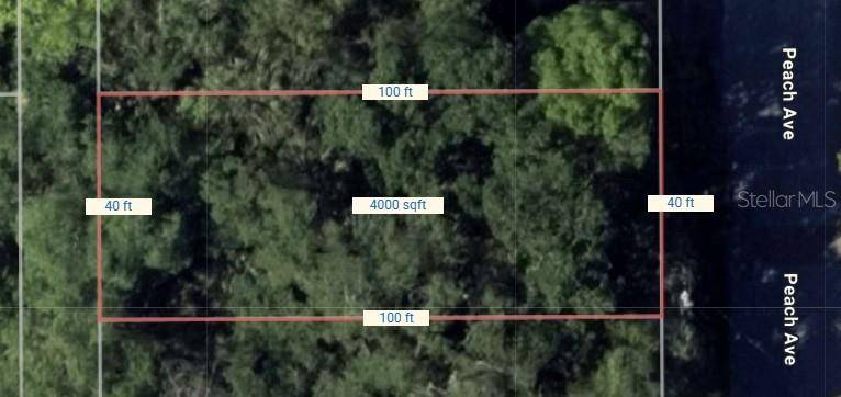 PEACH AVE, Sanford, FL 32771