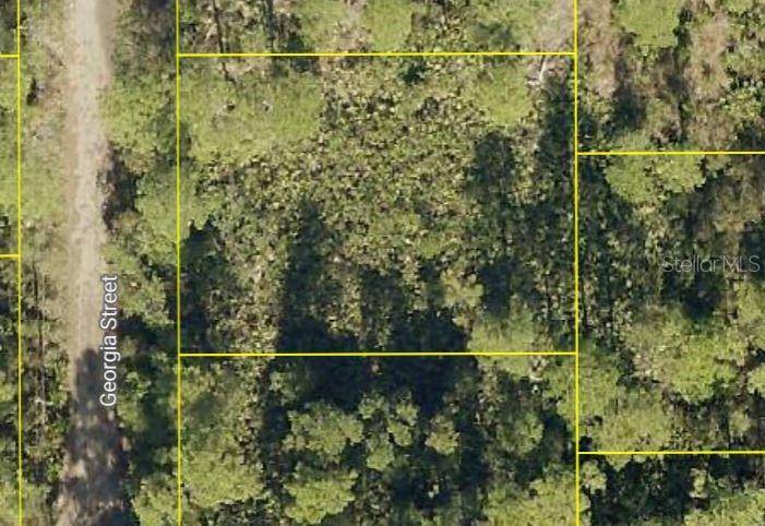 GEORGIA ST, Paisley, FL 32767