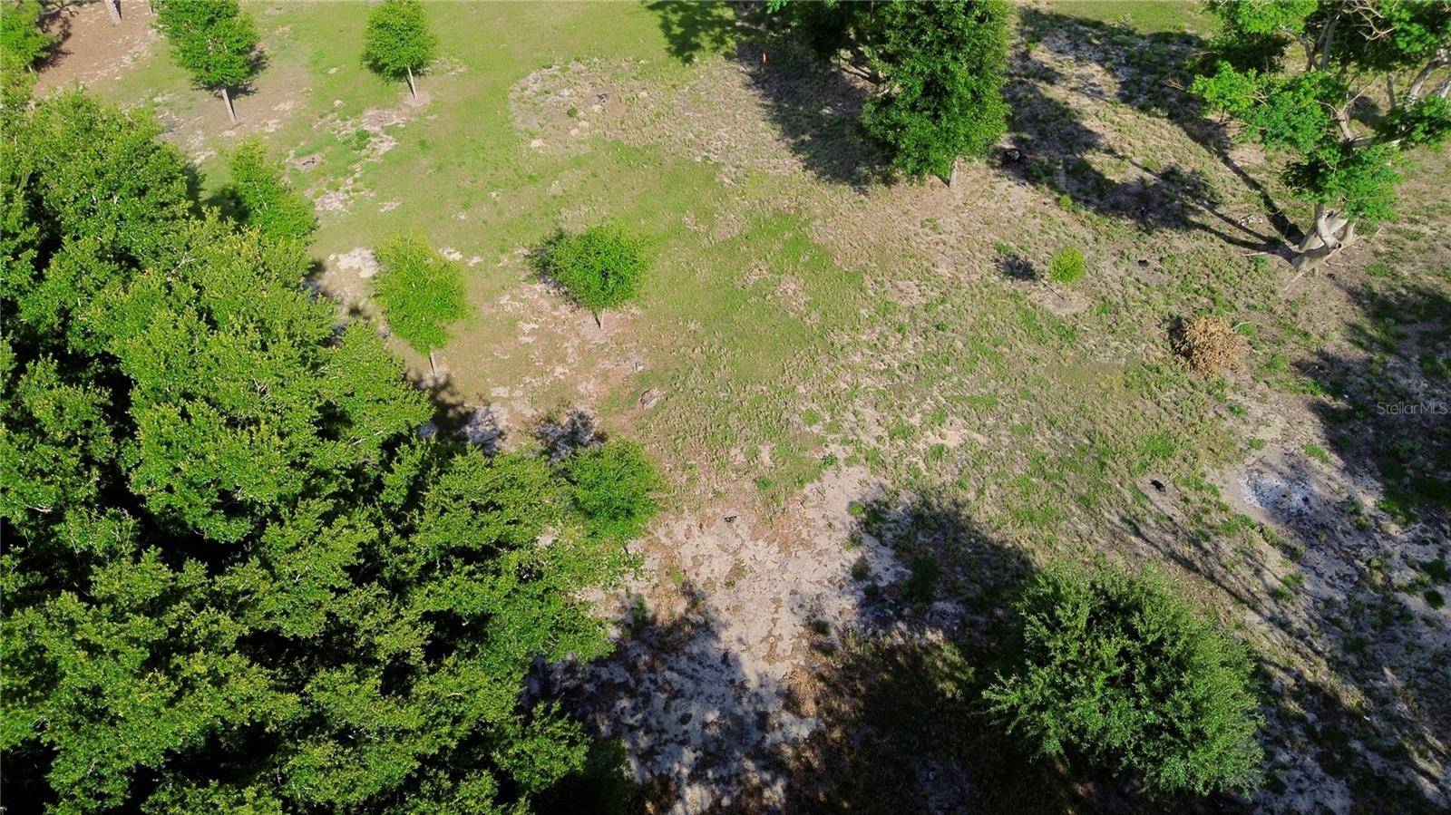 0 TOMATO HILL RD, Leesburg, FL 34748