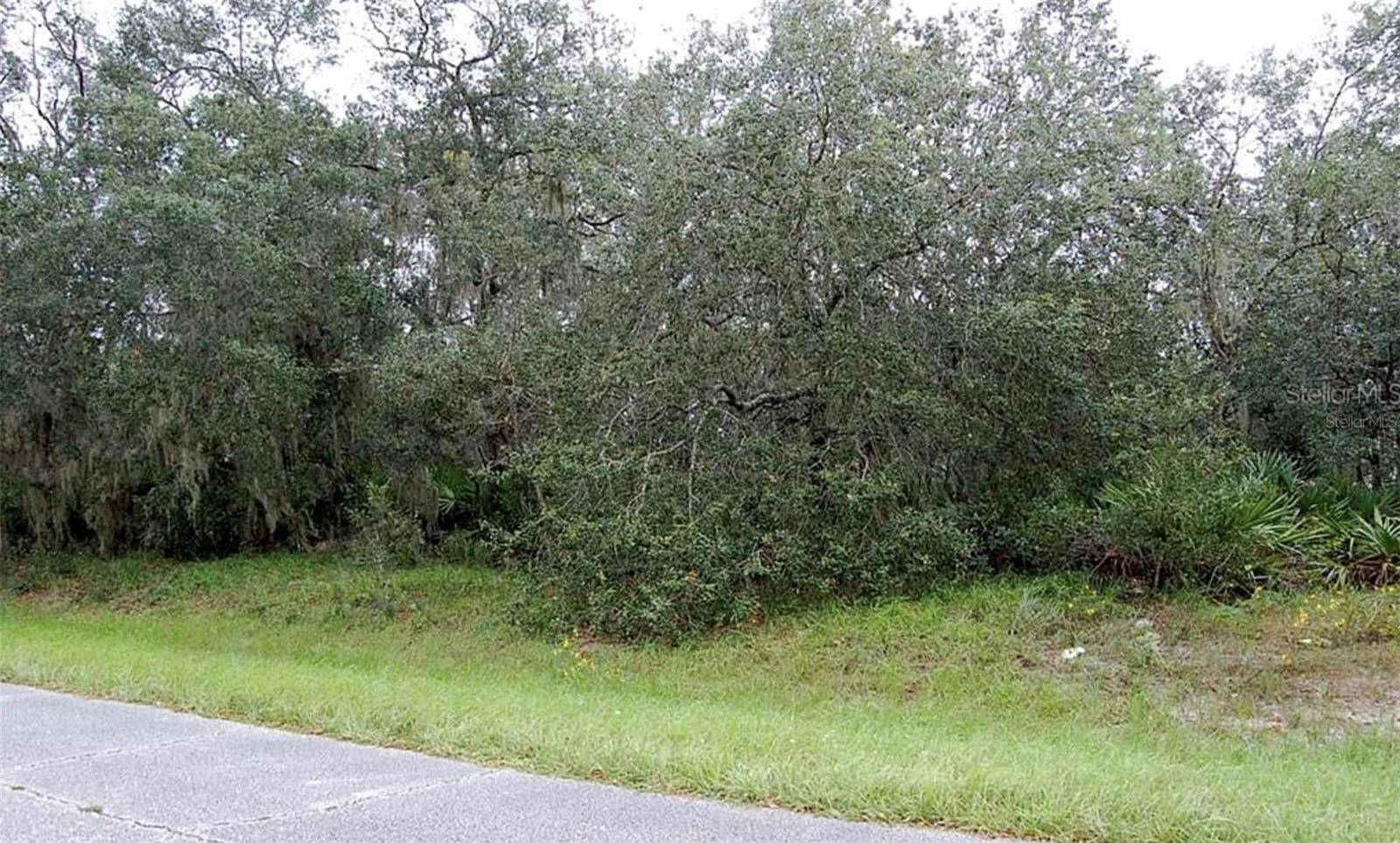 0 ST JOHNS CT, Poinciana, FL 34759
