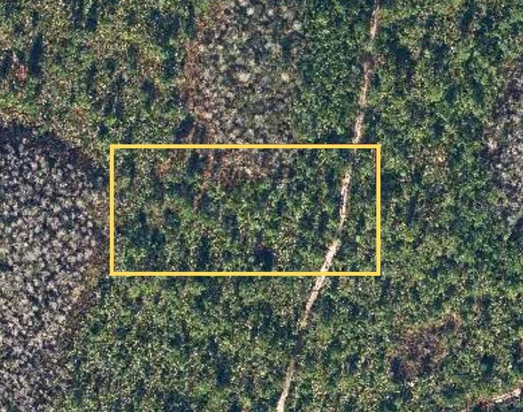 DILL RD, Christmas, FL 32709