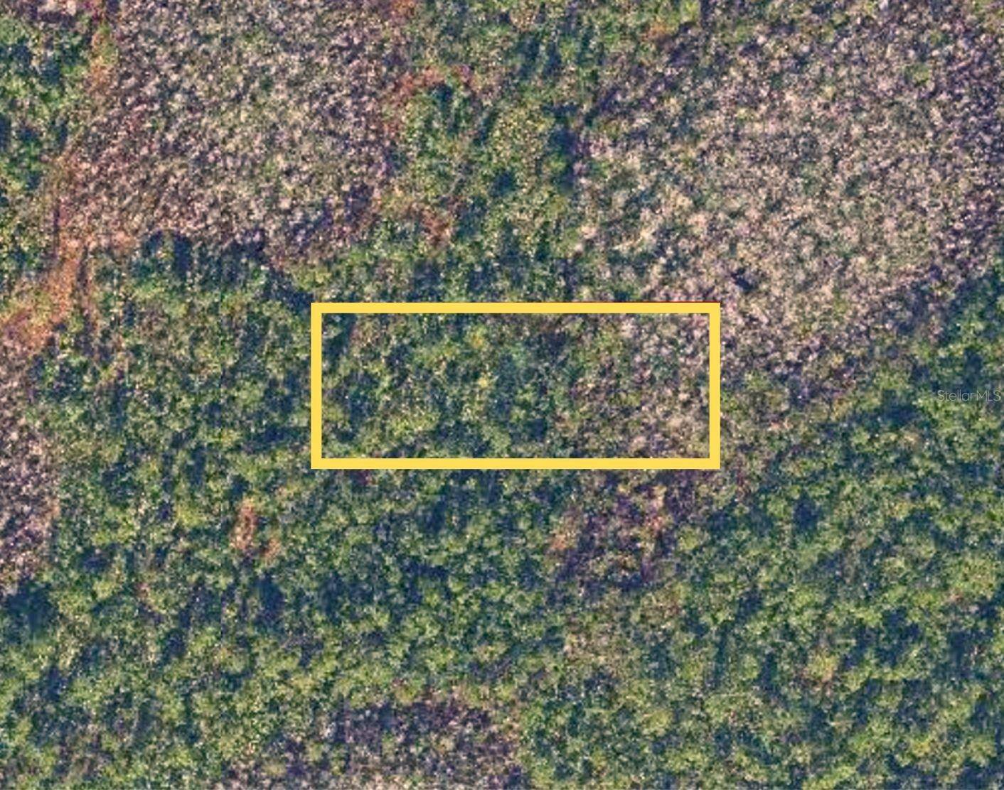 E COLONIAL DR, Christmas, FL 32709