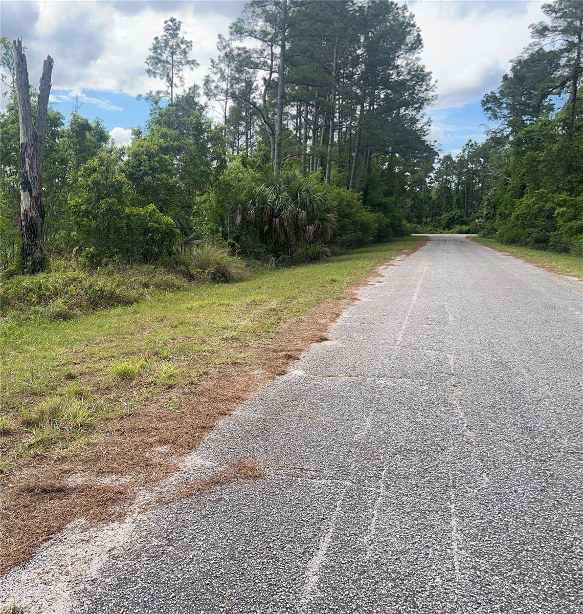 BANYAN ST #Unit No. 1, Eustis, FL 32736