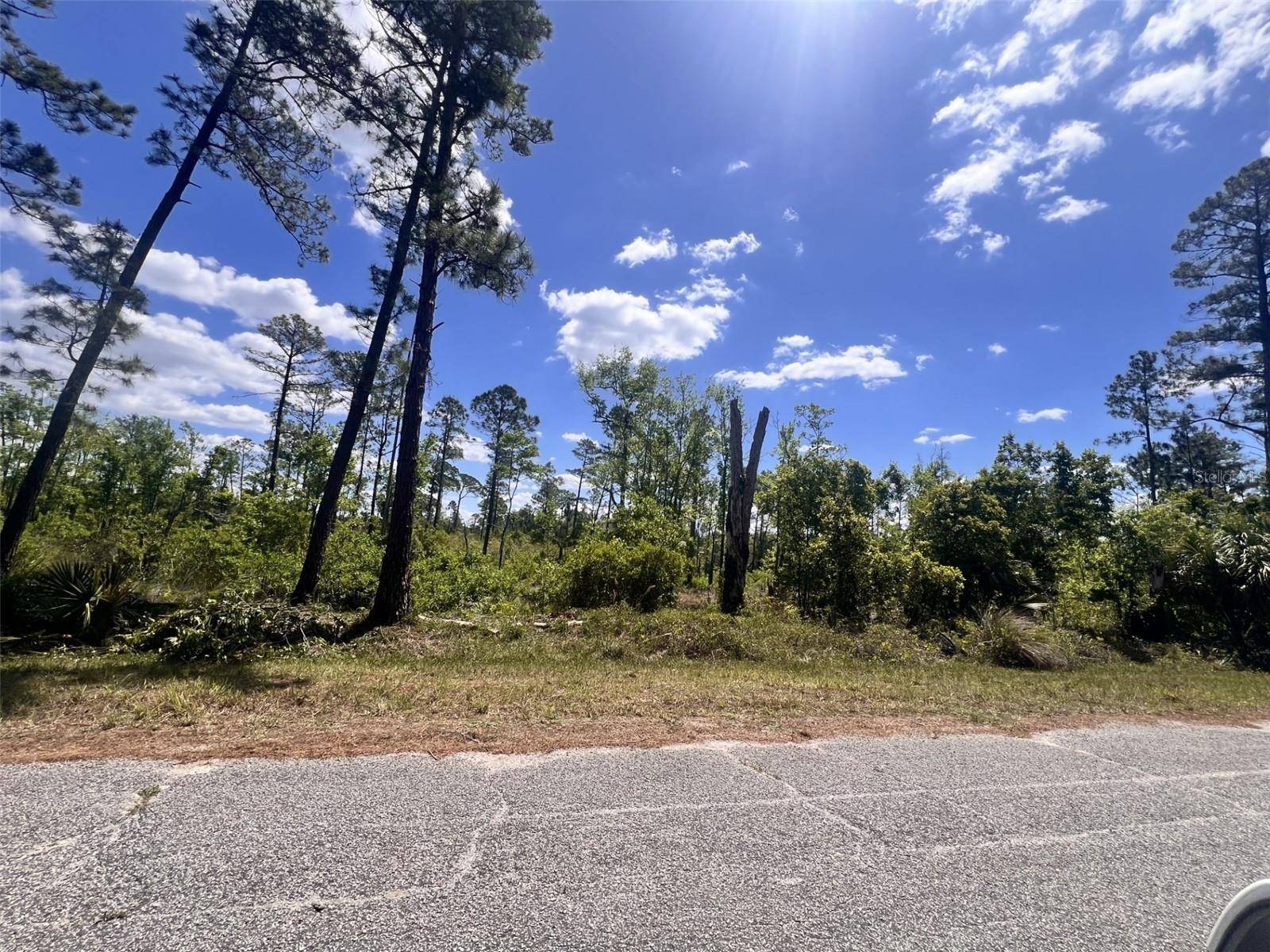 BANYAN ST #Unit No. 1, Eustis, FL 32736