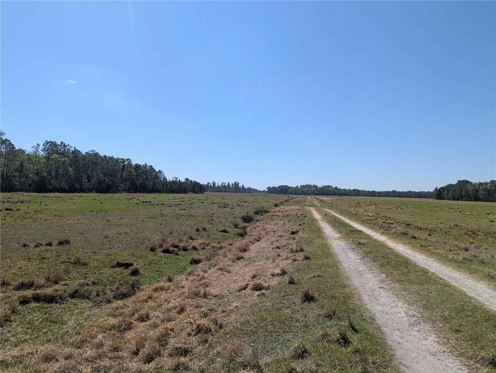 DEEN STILL RD E, Polk City, FL 33868