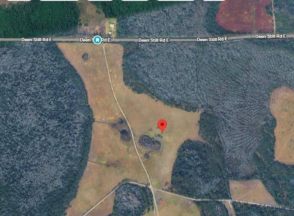 DEEN STILL RD E, Polk City, FL 33868