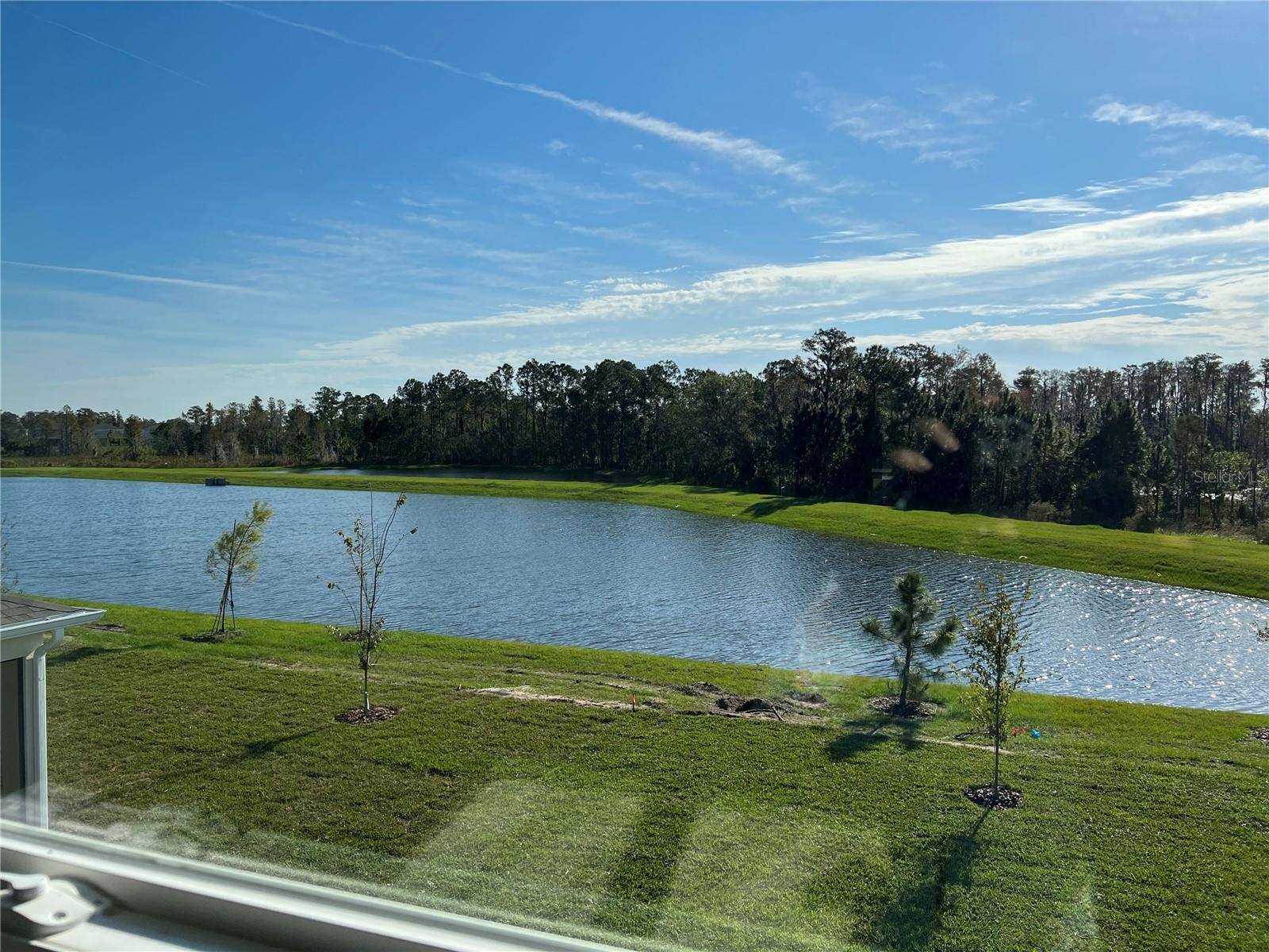 17575 SAW PALMETTO AVE, Clermont, FL 34714