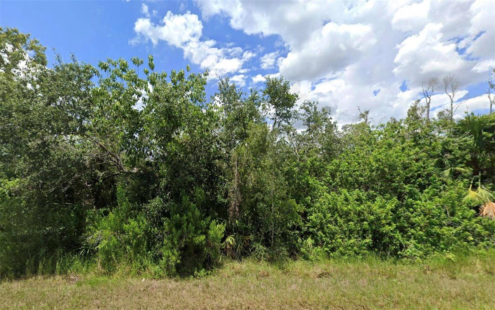 14276 MYAKKA AVE, Port Charlotte, FL 33953