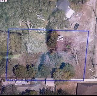 2668 ORANGE BRANCH RD, Eustis, FL 32726