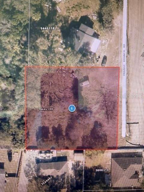 2668 ORANGE BRANCH RD, Eustis, FL 32726