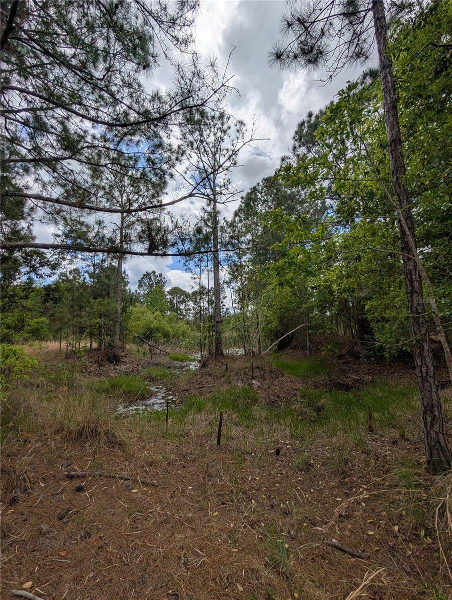 38521 ILEX TRL, Eustis, FL 32736