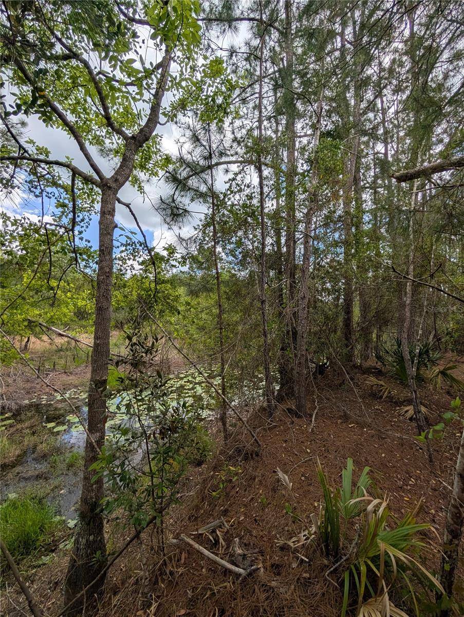 38521 ILEX TRL, Eustis, FL 32736