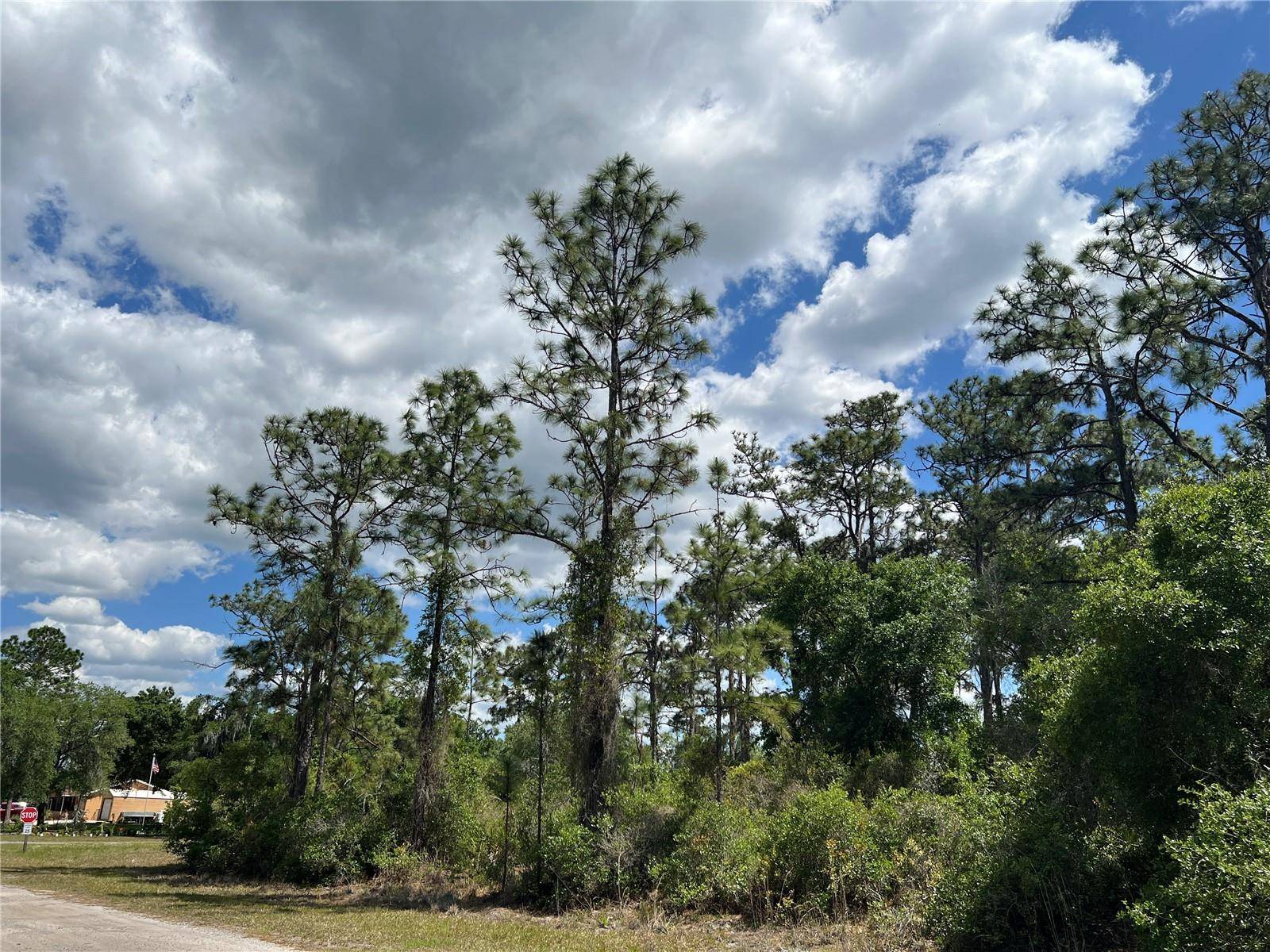 901 AZALEA DR, Indian Lake Estates, FL 33855