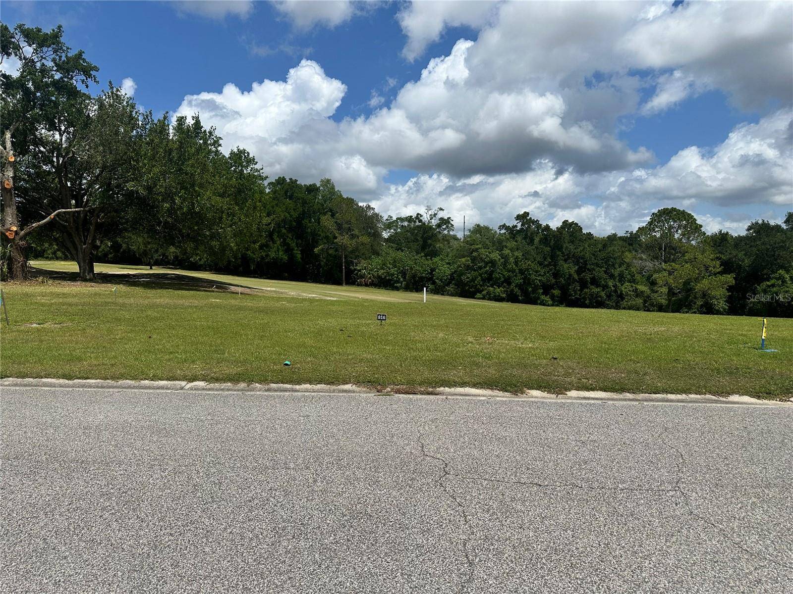 3951 GREENBLUFF RD #816, Zellwood, FL 32798
