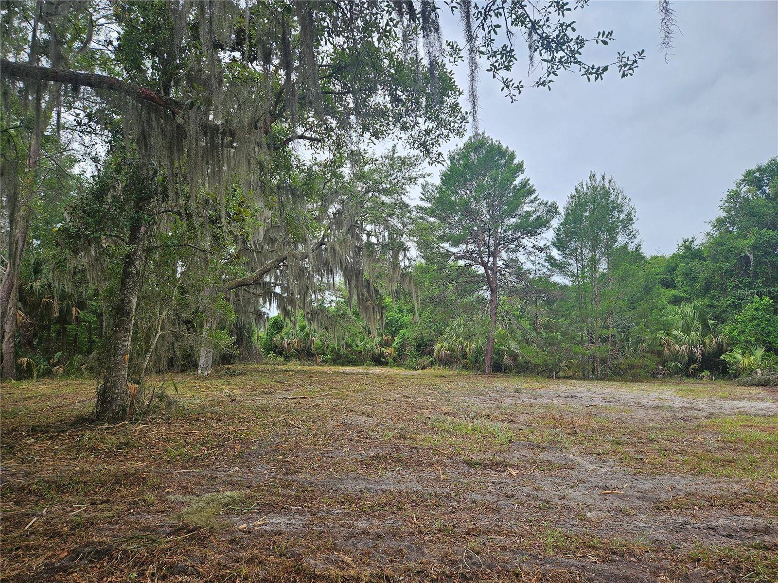 00 CULVER WAY, Geneva, FL 32732