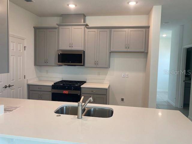27329 AFRICAN FISH CT, Howey In The Hills, FL 34737