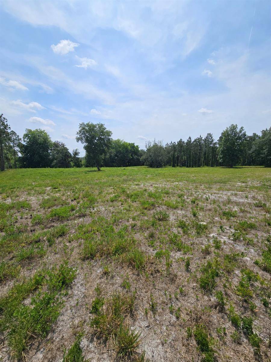 GENEVA WOODS CV, Geneva, FL 32732