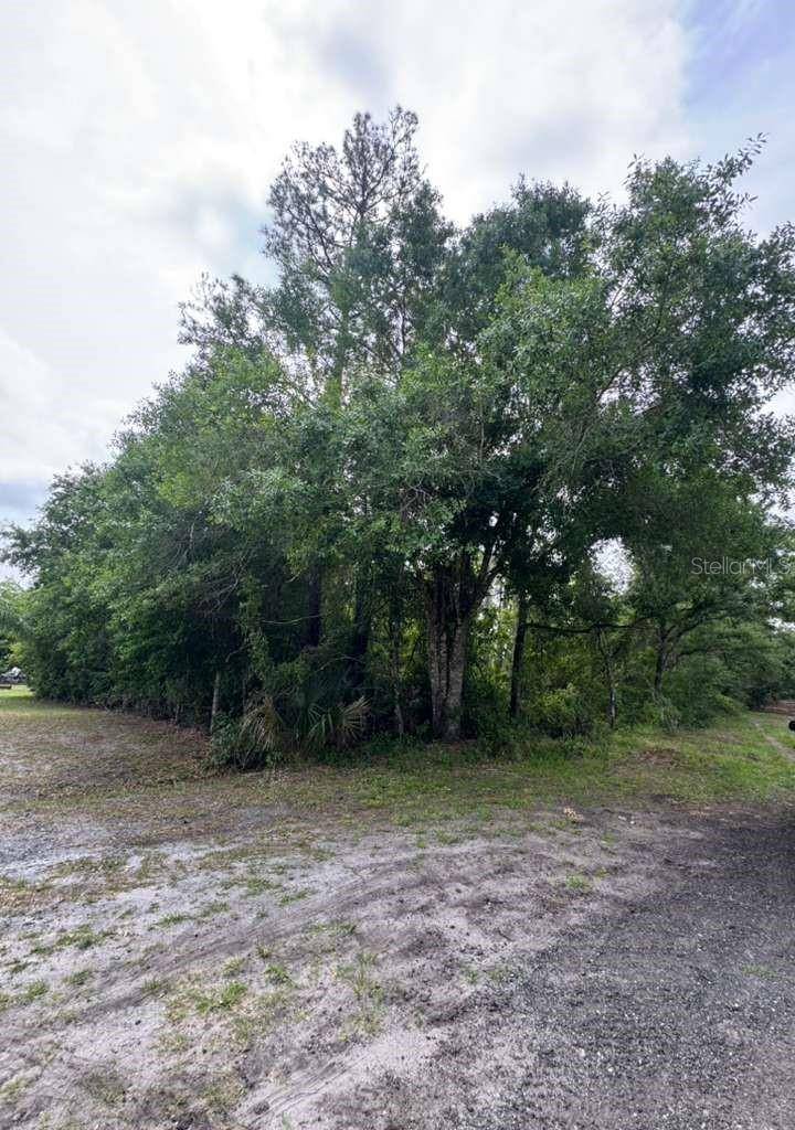 1249 SABLE PALM DR, Christmas, FL 32709