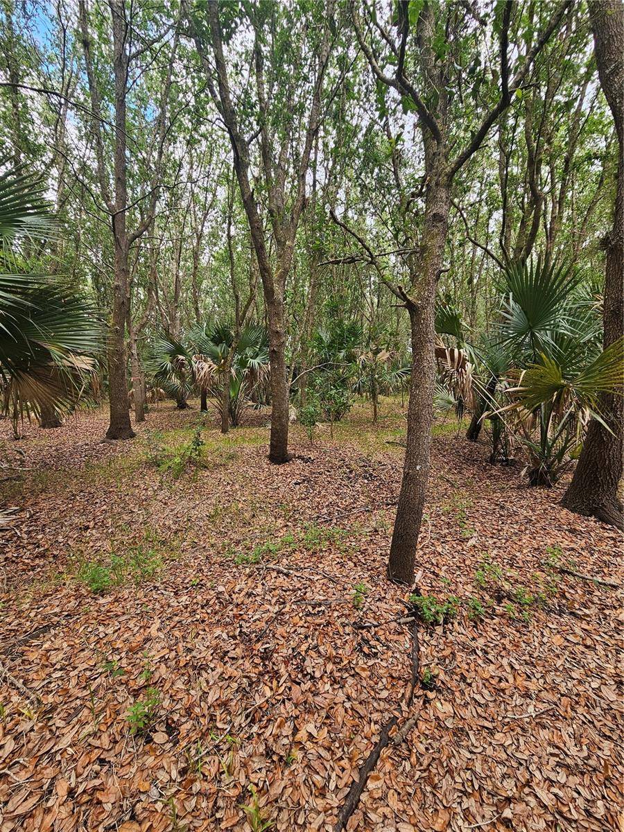 601 HOWARD AVE, Oviedo, FL 32765
