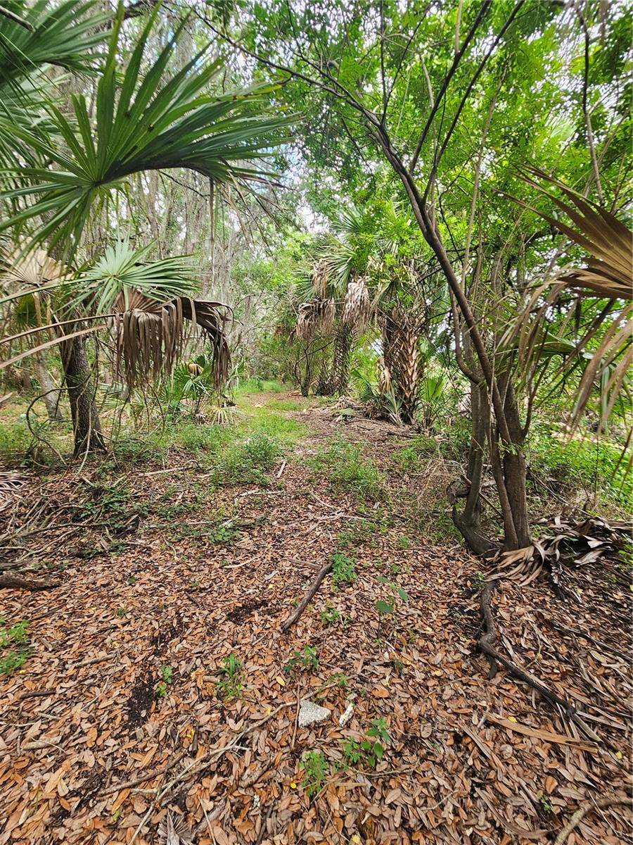 601 HOWARD AVE, Oviedo, FL 32765