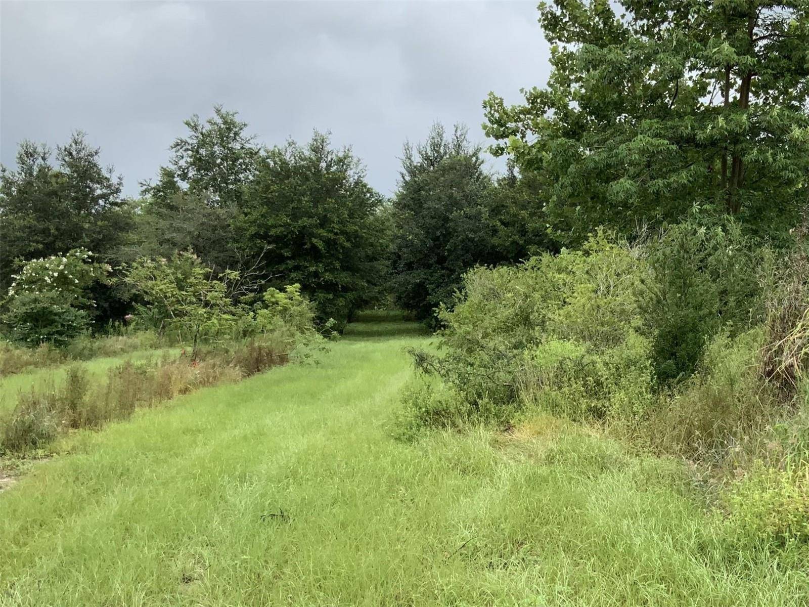 5079 ONDICH RD, Apopka, FL 32712