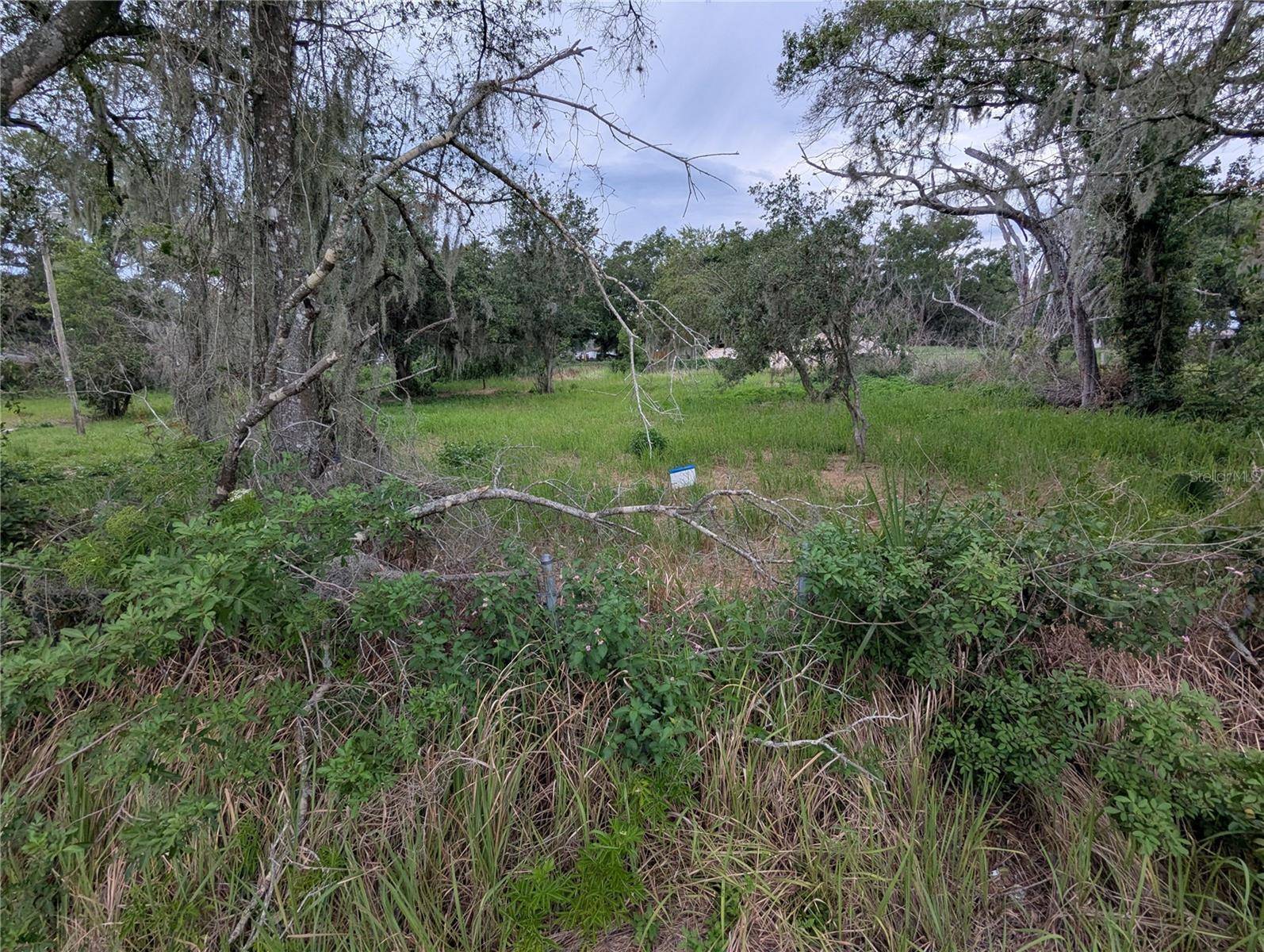 0 CENTRAL AVE, Mulberry, FL 33860