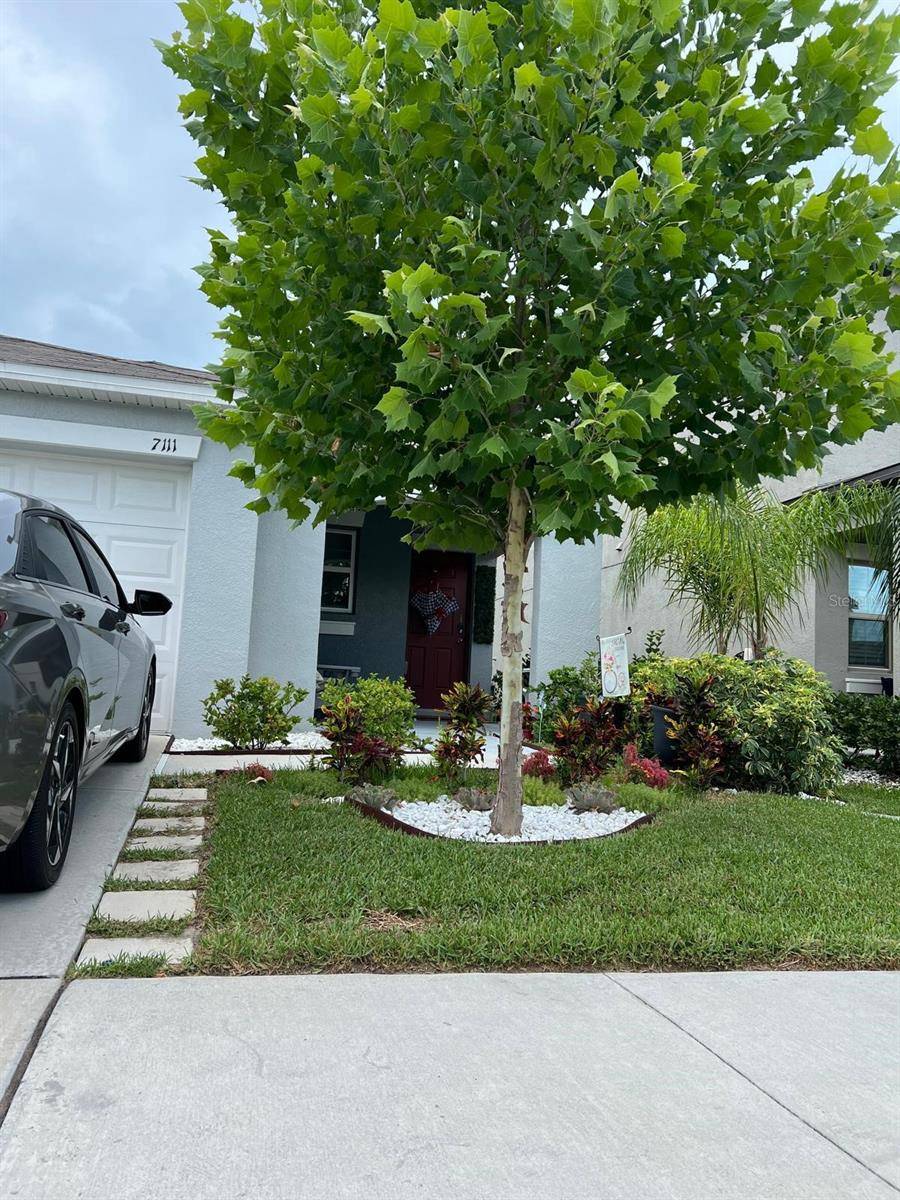 7111 AMELIA COVE CT, Sun City Center, FL 33573