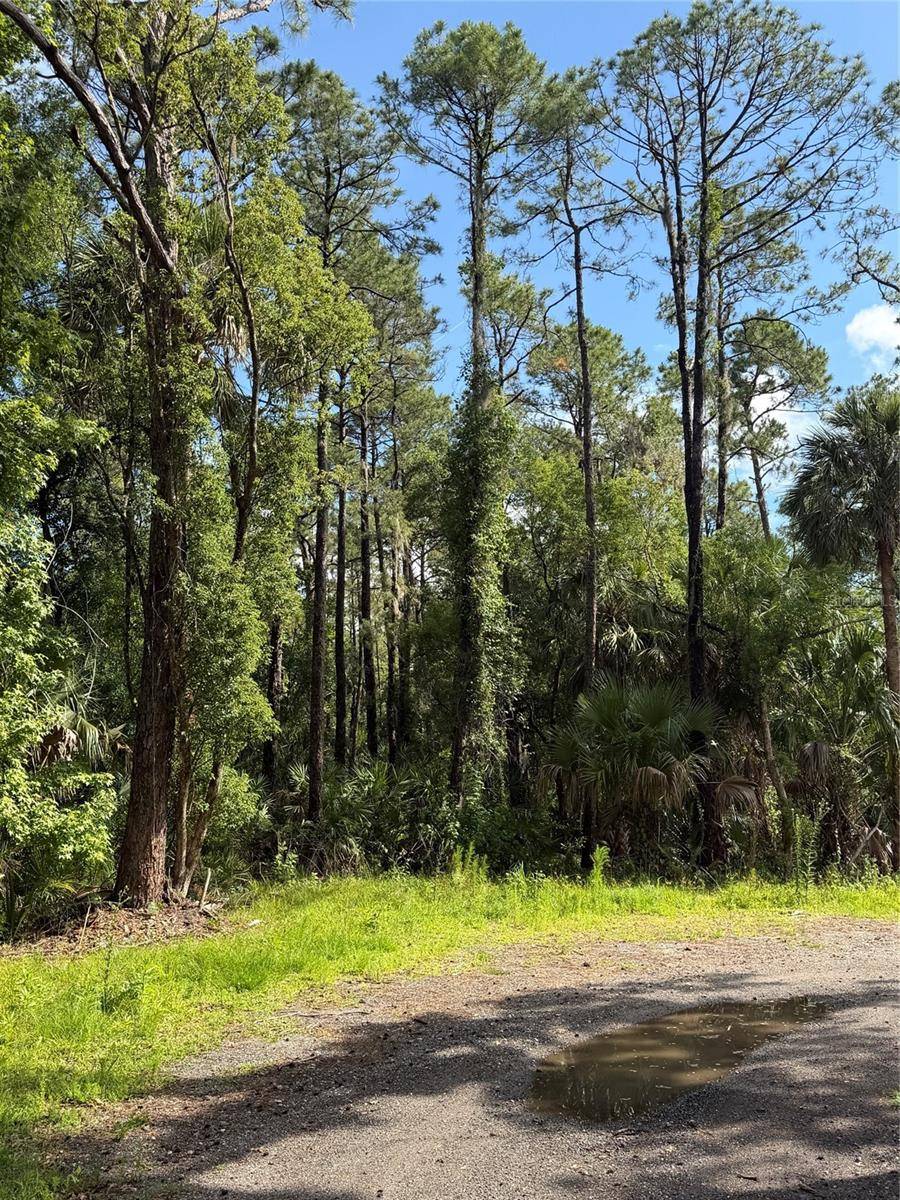 1340 JAYCE CT, Geneva, FL 32732