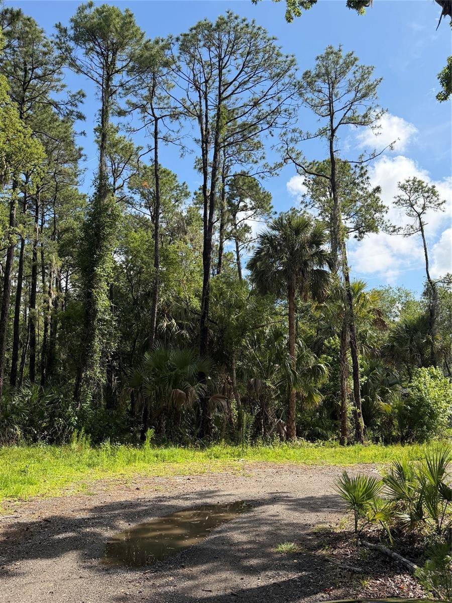 1340 JAYCE CT, Geneva, FL 32732