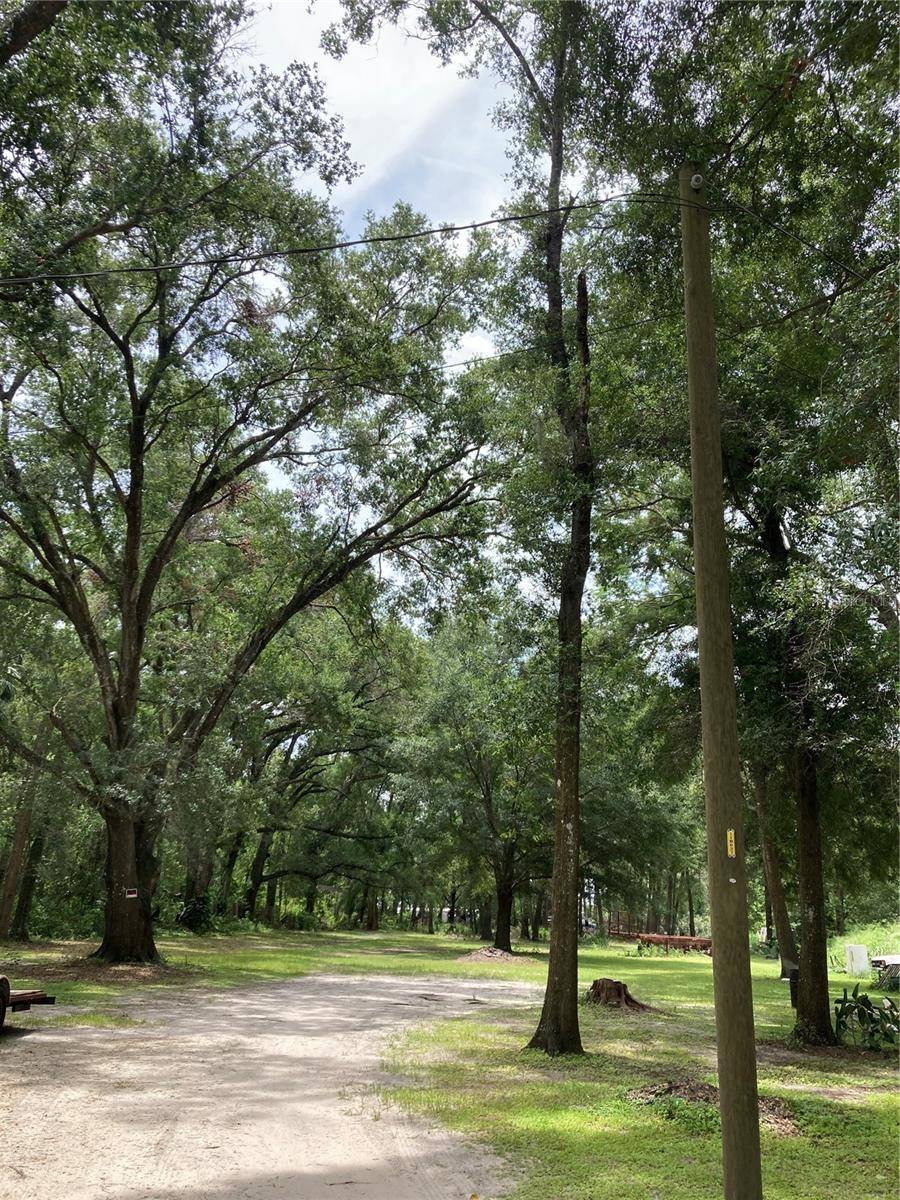 E PINE AVE, Mount Dora, FL 32757