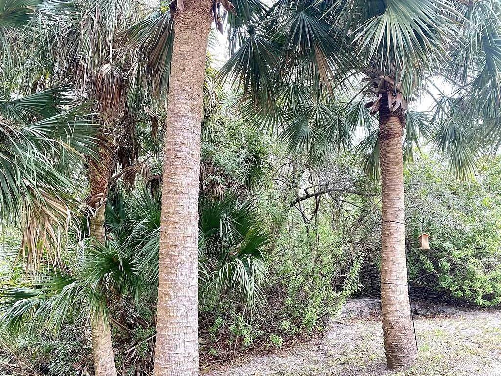 ARLEY RD, North Port, FL 34288