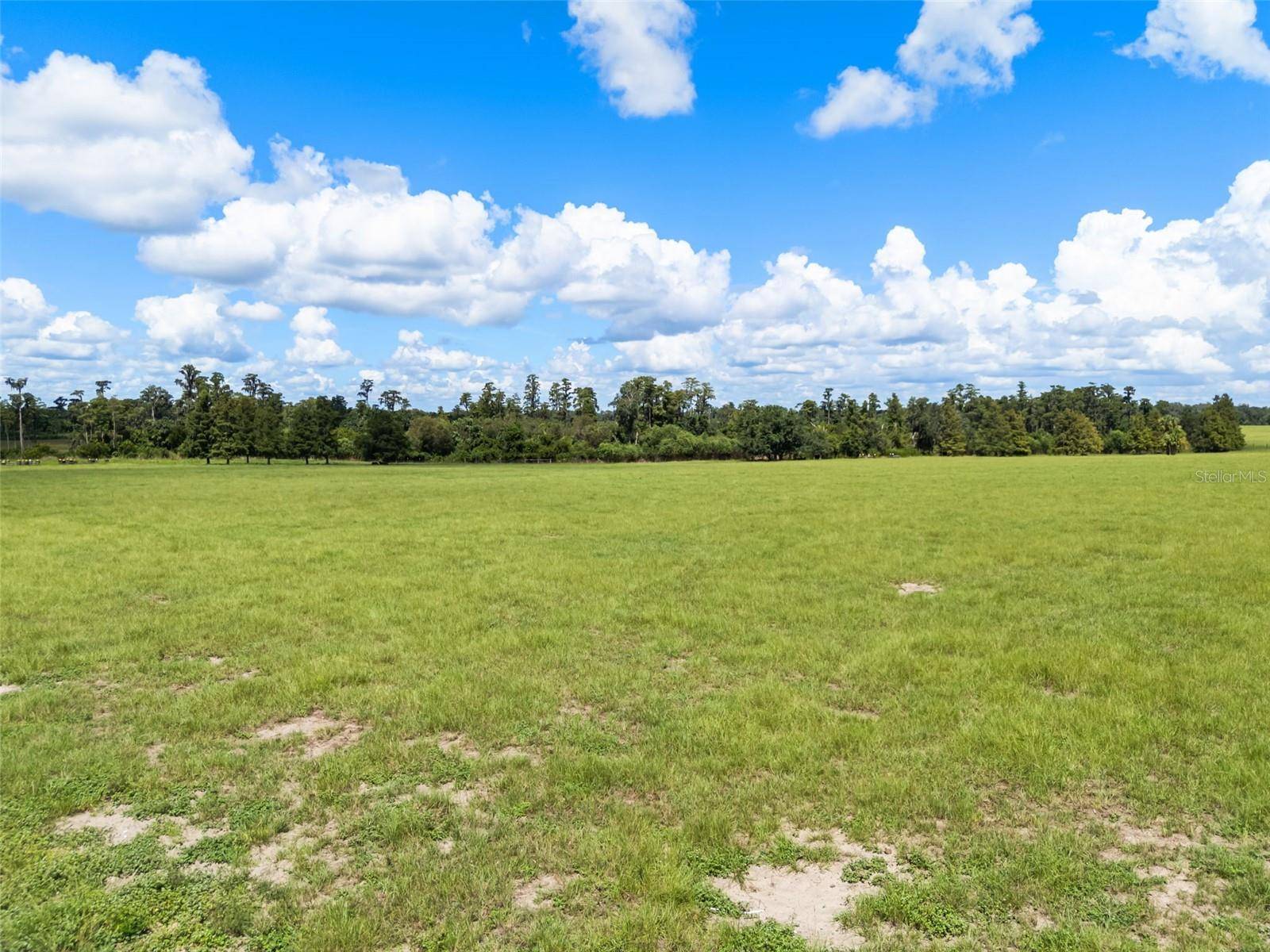 LAWS RD, Clermont, FL 34711