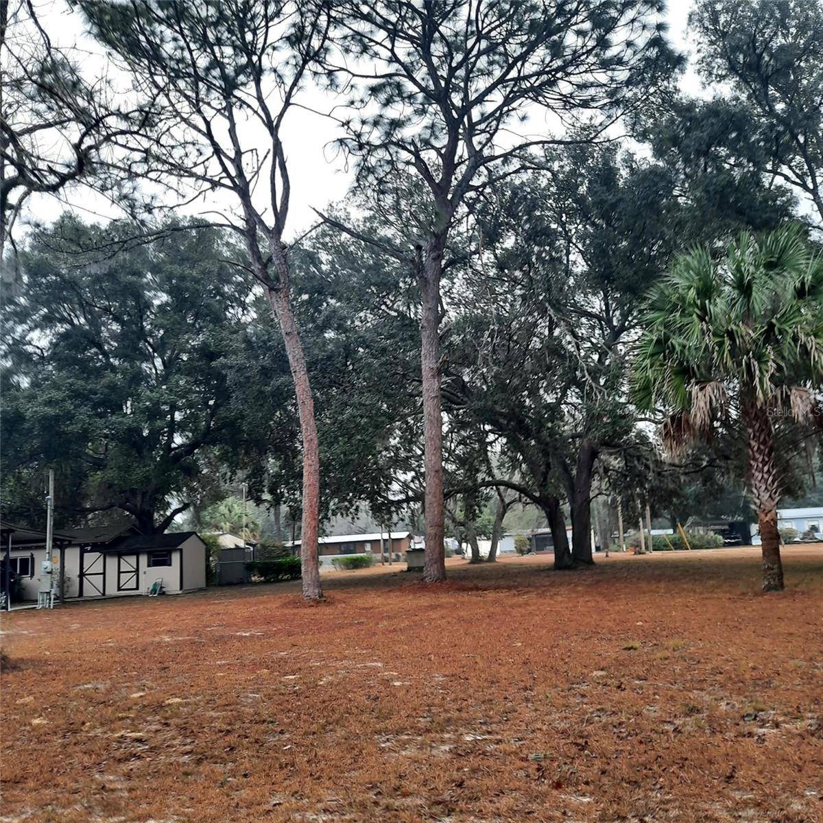 0000 NE 148TH CT, Fort Mc Coy, FL 32134