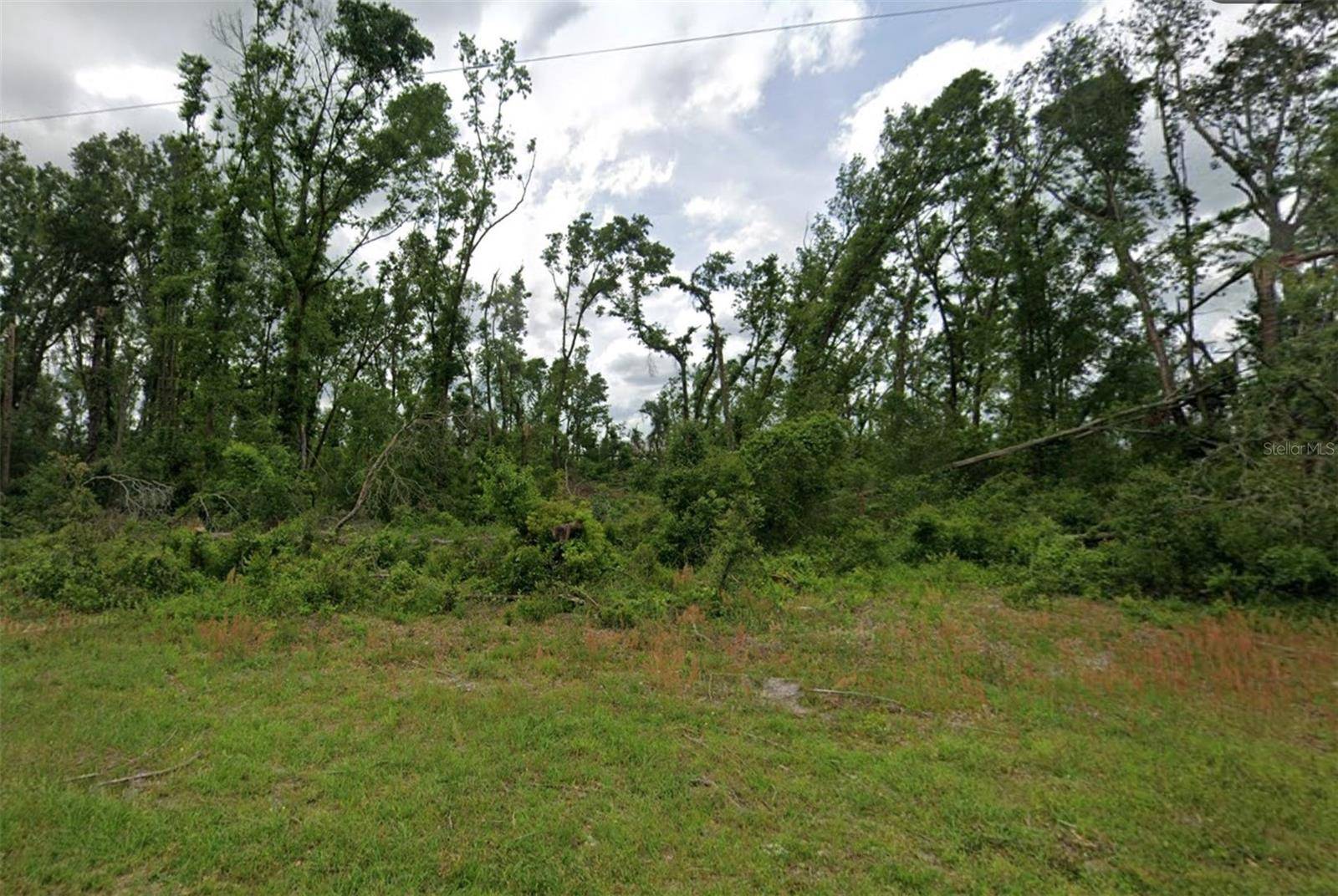 00 SW DOE RD, Mayo, FL 32066