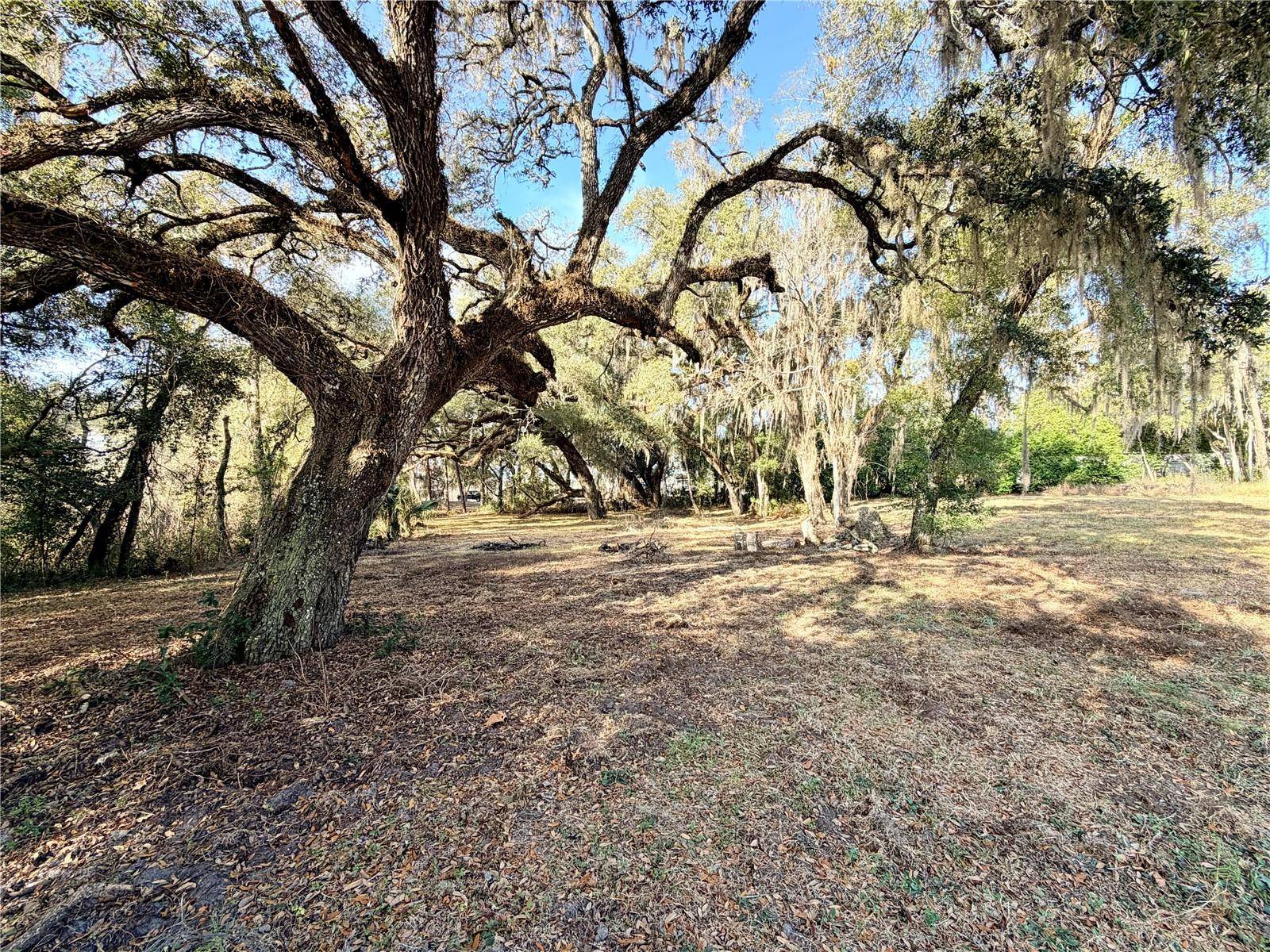 5666 S FLORIDA AVE, Floral City, FL 34436