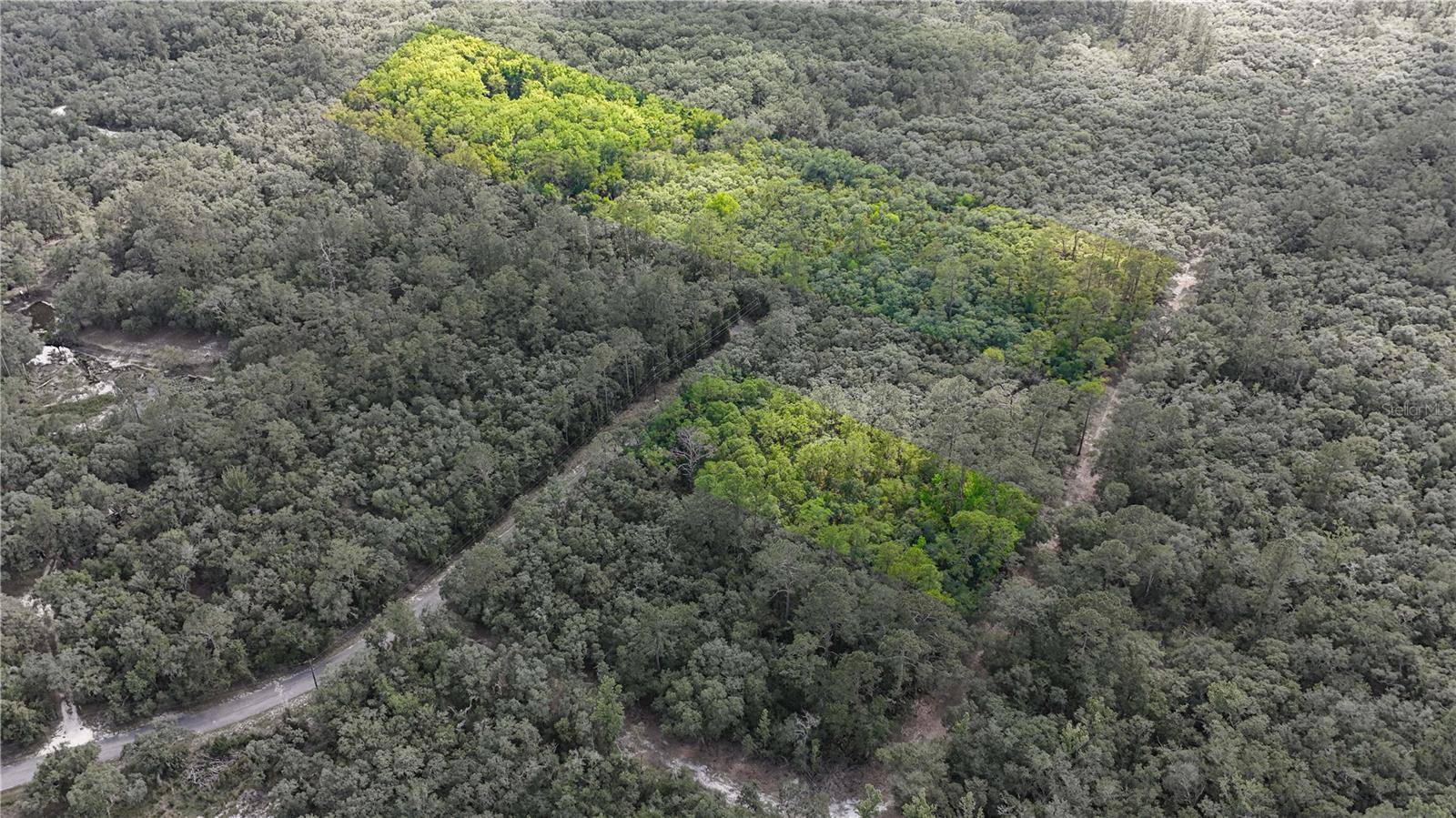 TBD OFF RIVERVIEW RD #9, Fanning Springs, FL 32693