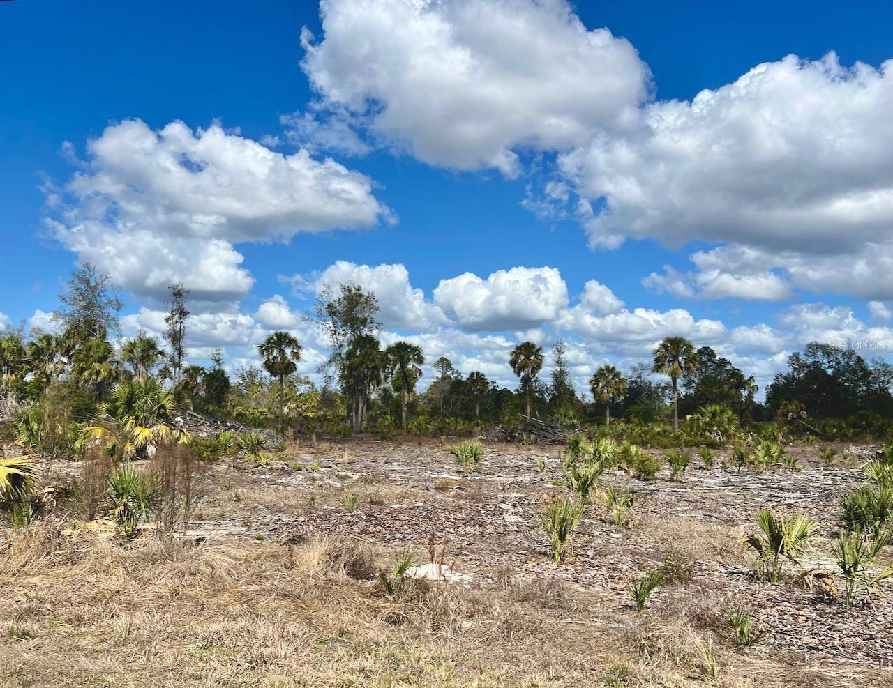SHILOH RD, Cedar Key, FL 32625