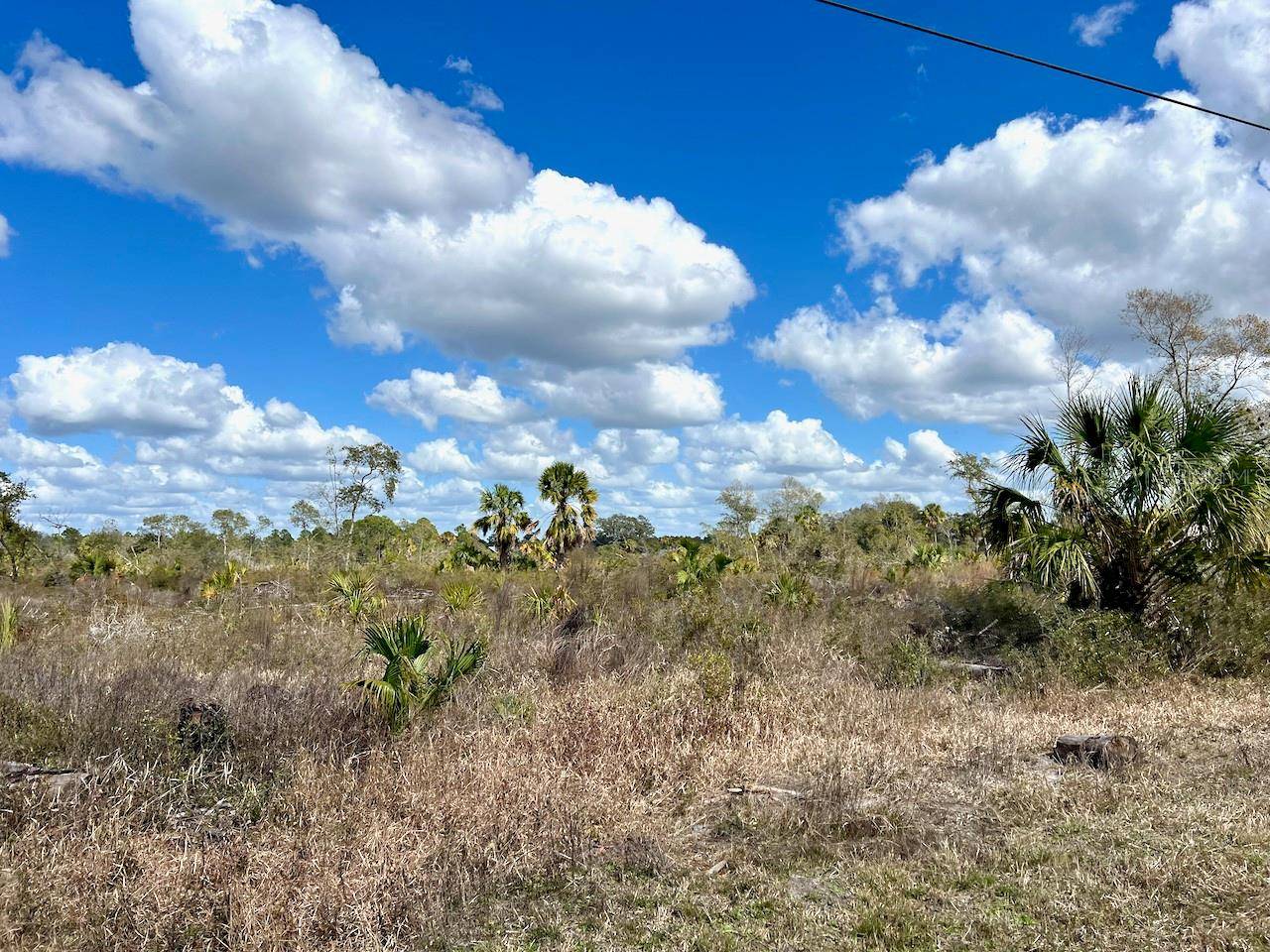 SHILOH RD, Cedar Key, FL 32625