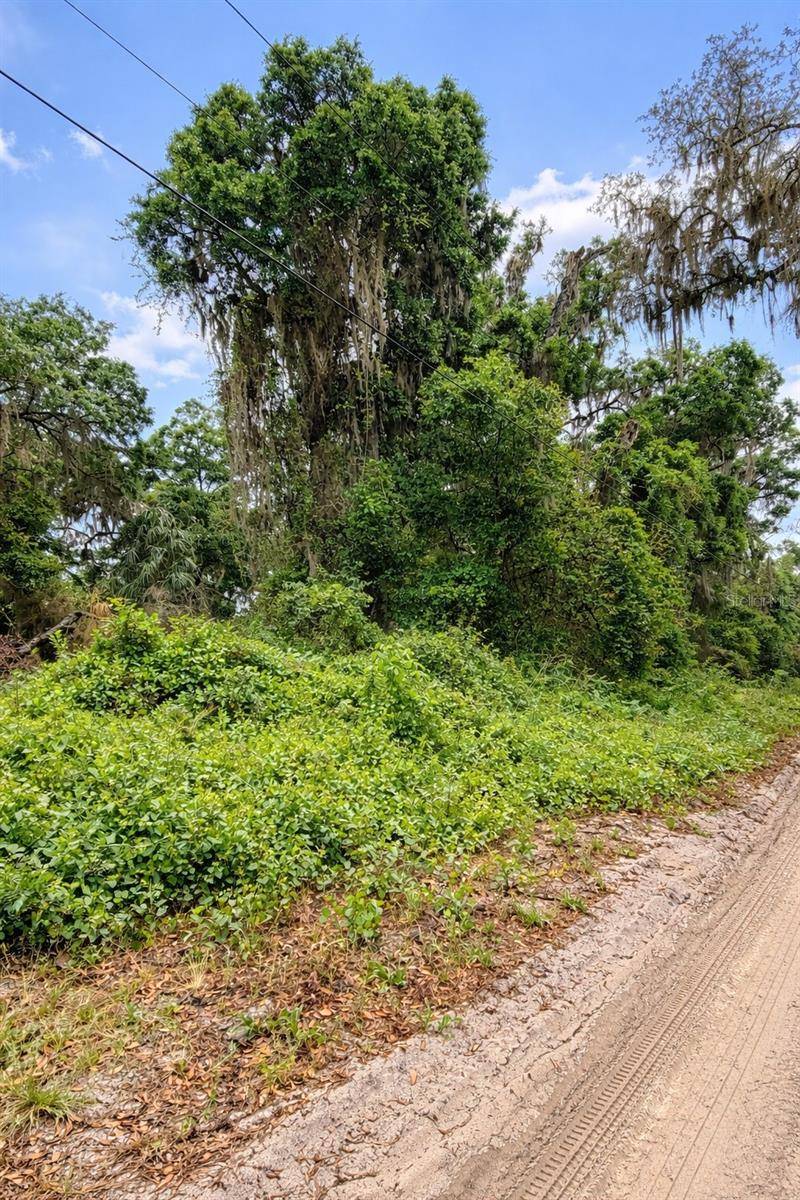 TBD NE 52ND CT, Anthony, FL 32617
