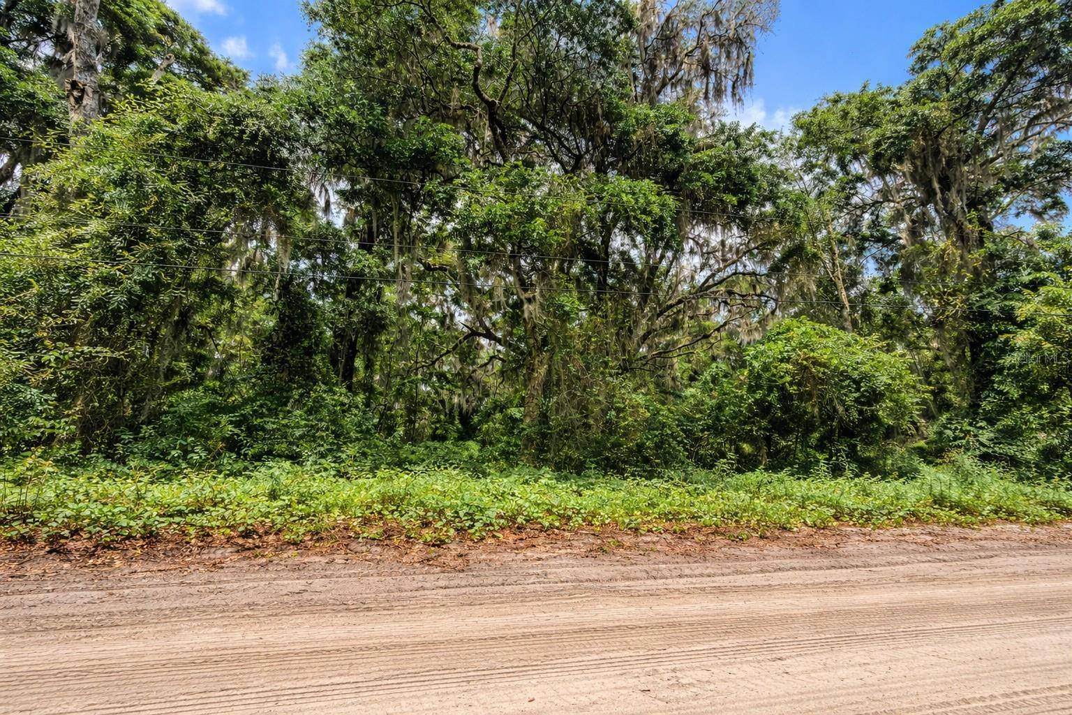 TBD NE 52ND CT, Anthony, FL 32617
